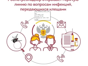 Всероссийская горячая линия по вопросам профилактики клещевого вирусного энцефалита